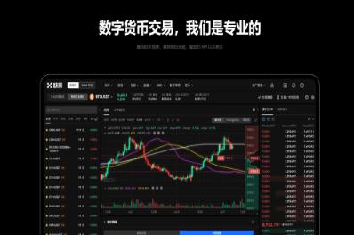 欧意交易所下载ios钱包_欧意交易所发布 iOS 钱包